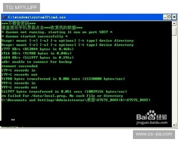 如何通过Delts工具导入NDS游戏并顺利运行详细教程